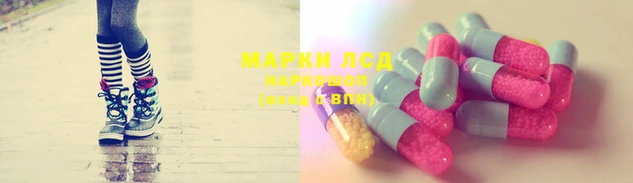 jwh Вязьма