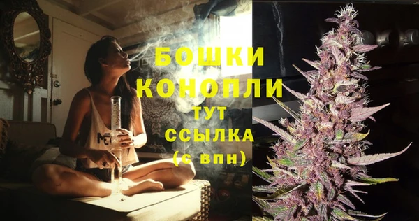 метадон Вяземский